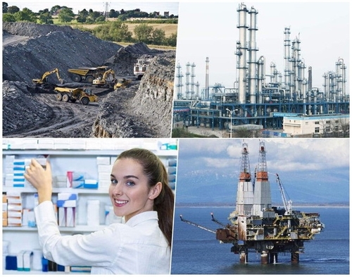 Latest company news about За пределами основ: инновационные применения сетки из нержавеющей стали в современной промышленности
